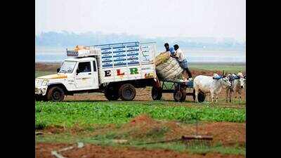 Farmers turn dry Redhills reservoir into farmland, draw ire of authorities