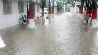 Madhubani afloat in rainwater