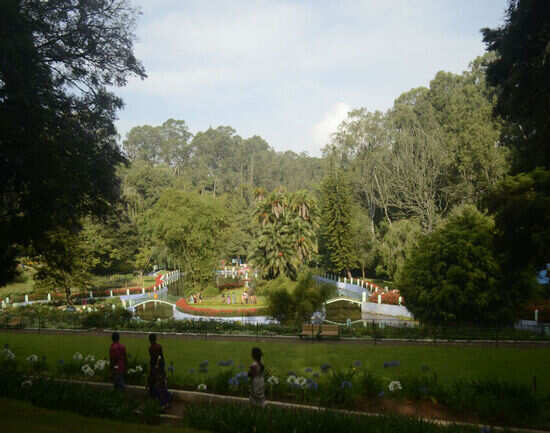 Places to visit in Coonoor for a memorable holiday