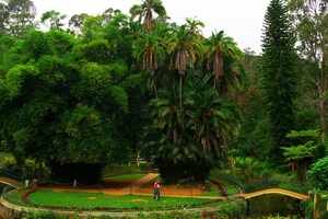 Sim&rsquo;s Park