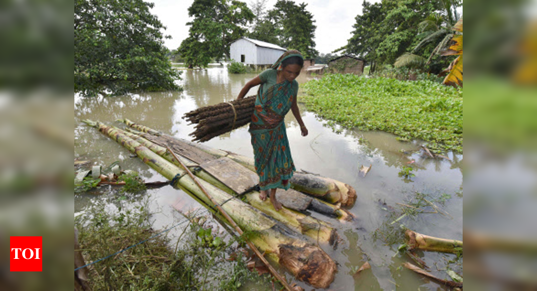 Assam Floods Death Toll Climbs To 40 16 Lakh Remain Affected Guwahati News Times Of India 3987