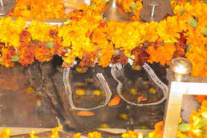 Sri Mata Vaishno Devi Shrine
