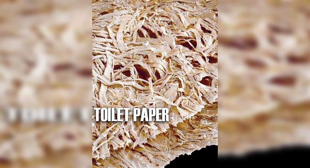 Toilet paper seen under a microscope Photogallery