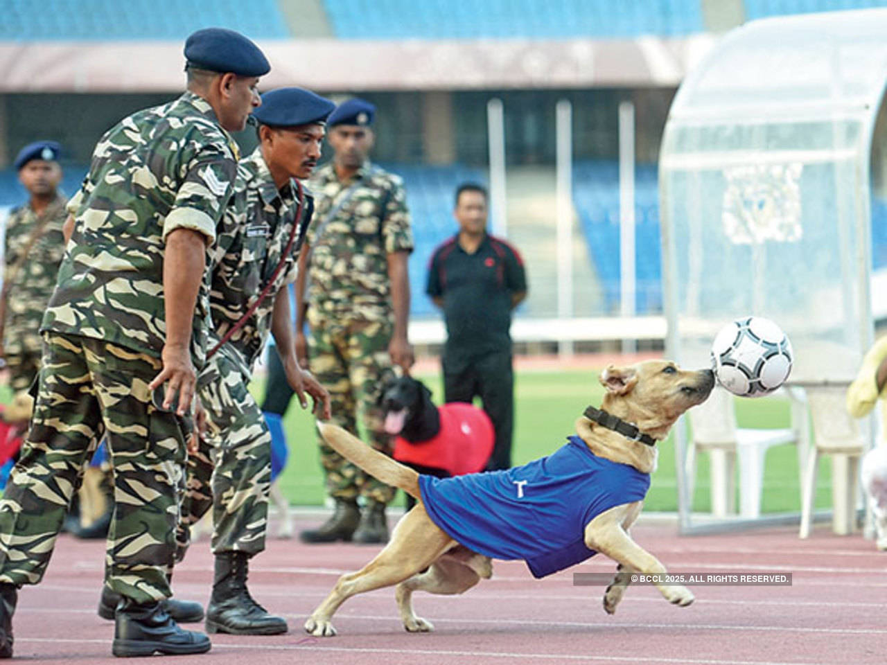 BSF, CRPF jawans show off their bhangra, musical skills at Oorja CAPF's  Football Talent Hunt Tournament | Delhi News - Times of India