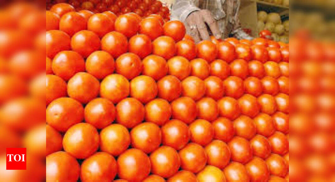 Tomato prices soar to Rs 100 per kg in Jaipur retail markets Jaipur