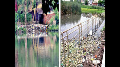 Mosquitoes breed; muck, stench float on Lucknow lakes