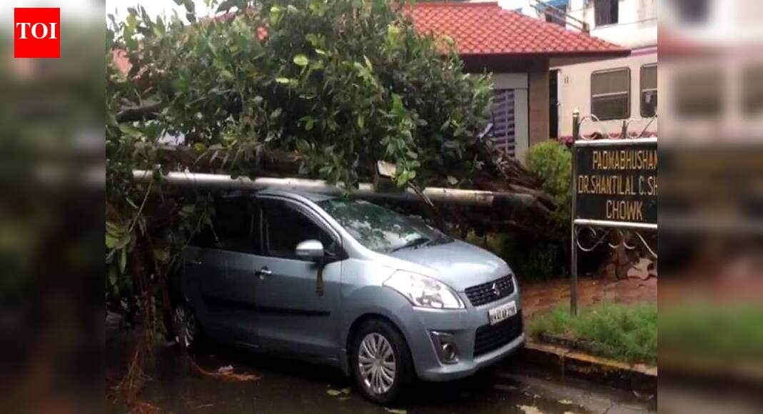 Miraculous escape for two after a huge tree falls on their vehicle