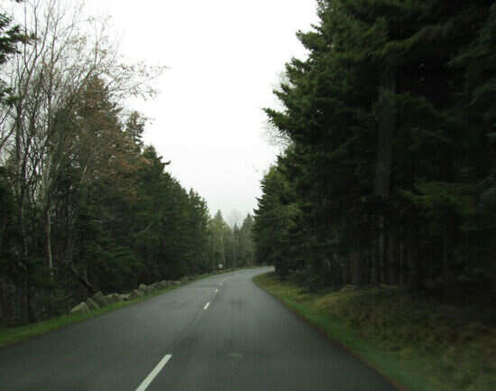 Loop Road