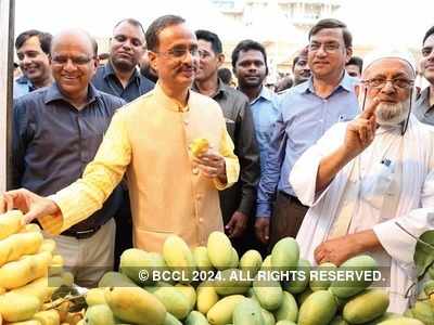 A mango treat for Lucknowites