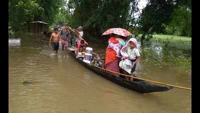 Majuli island residents' twin battle with flood and elephant herd