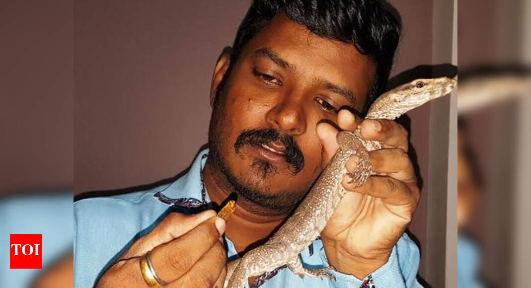 Monitor Lizard In Bhandup Ignorant locals cut off tail tip of monitor
