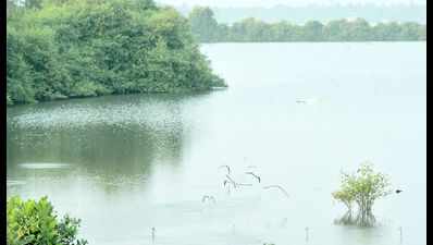 Mumbai lakes 66% full, Tansa lake brims with water