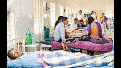 Rajasthan: Kota in dengue danger zone as 36 test positive in July