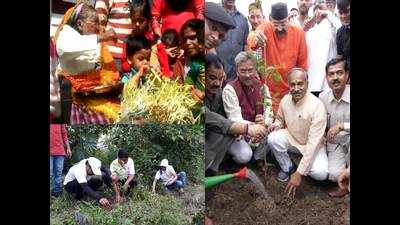 Harela festival begins in Uttarakhand; CM, MLAs plant saplings across the state