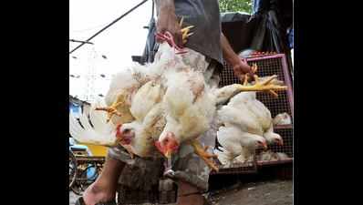 Chicken @ Rs87: Poultry dealers move Kerala high court against minister's directive