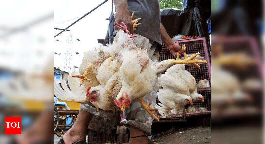 Kerala Chicken Rs87 Poultry dealers move Kerala high court against