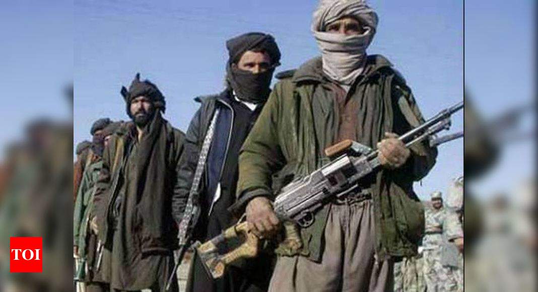 Pak Created Terror Groups To Check India Afghanistan Times Of India   Photo 