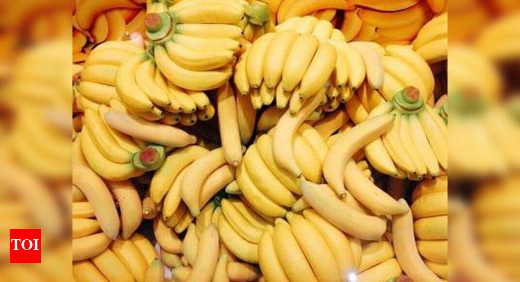 Tamil Nadu tops in banana yield in India minister Madurai News