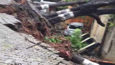 Heavy rains uproot trees, damage road in Bandra West