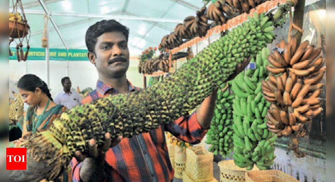 Banana festival offers a glimpse of rare varieties to farmers Madurai