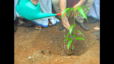 CISF plants over 2,000 saplings in Lohegaon