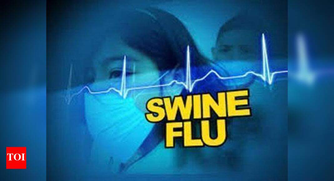 Swine flu threat grows; 600 deaths, 12.5k cases this year - The Times ...