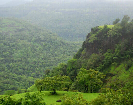 Rajmachi