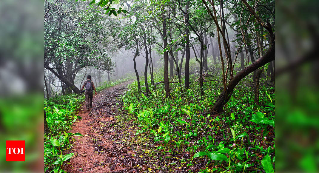 we-need-ngos-citizens-students-to-save-mangroves-thane-news