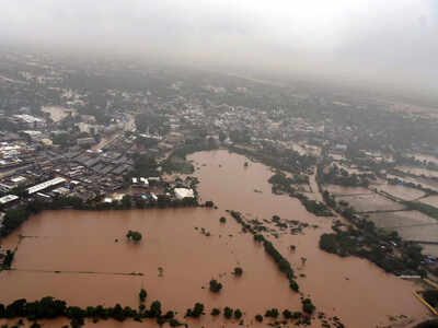Watch: Animals rescued from flood in Gujarat