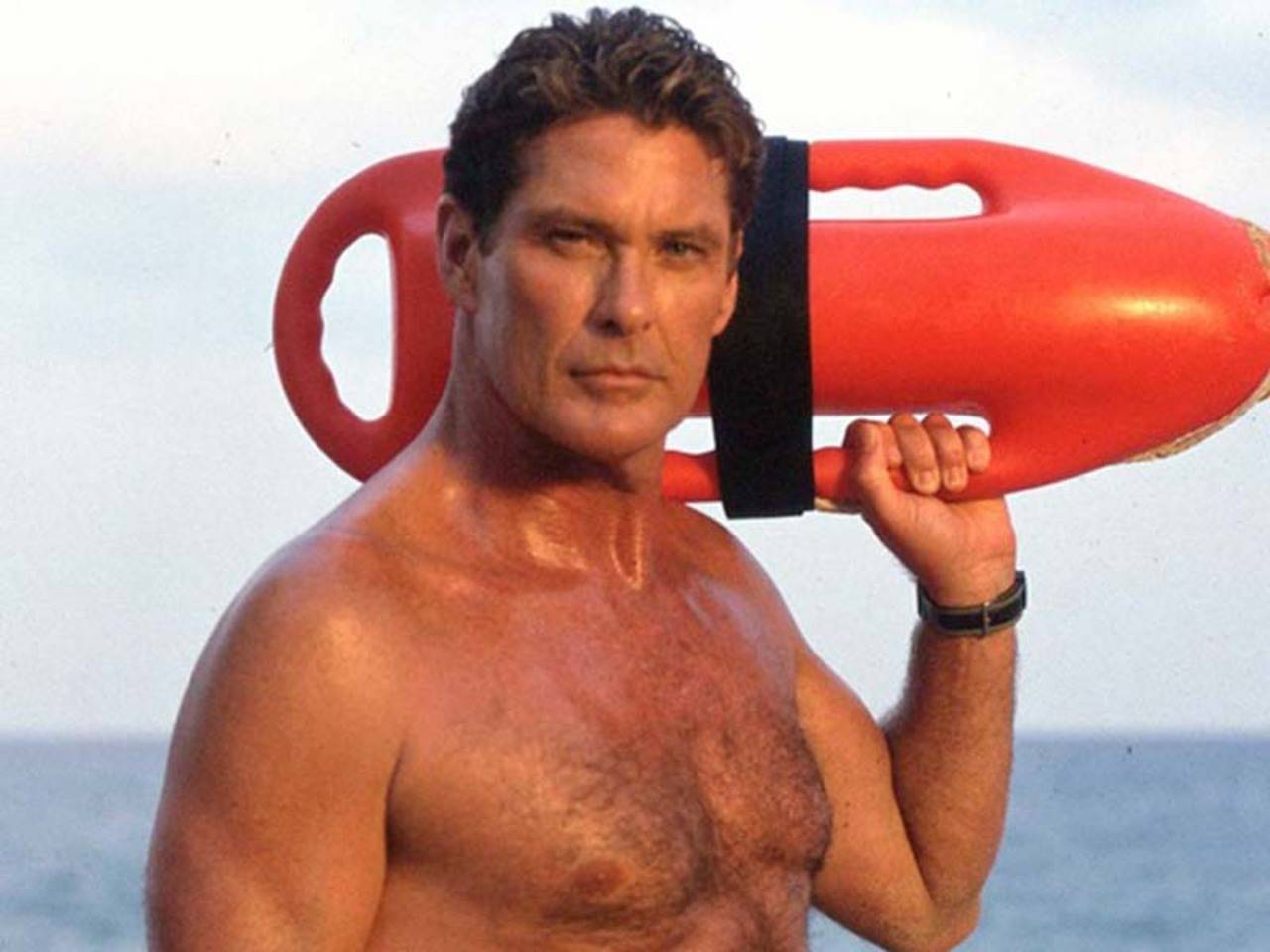 The roast of David Hasselhoff, 10 lesser known facts about the Baywatch  star - Times of India