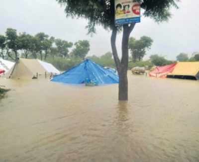Rajasthan floods kill 800 cows at gaushalas in Jalore, Sirohi