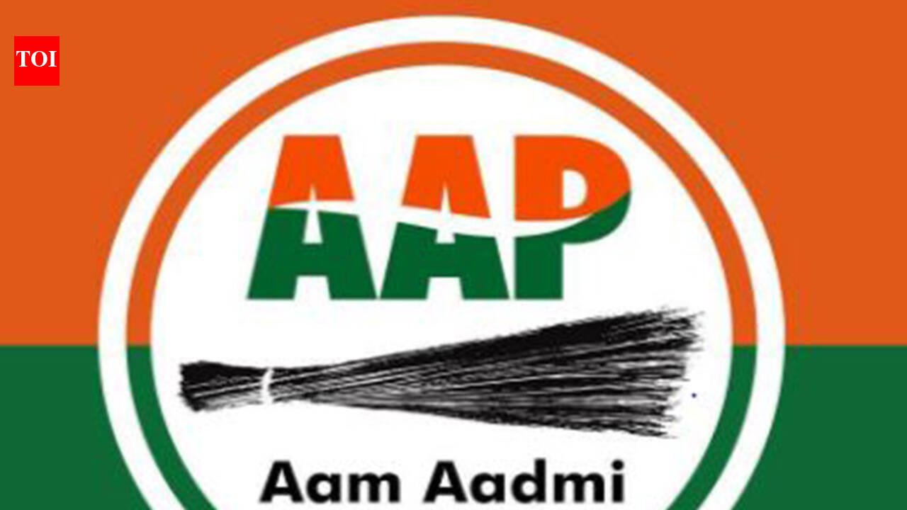 Bains is new AAP chief spokesperson | Chandigarh News - The Times of India
