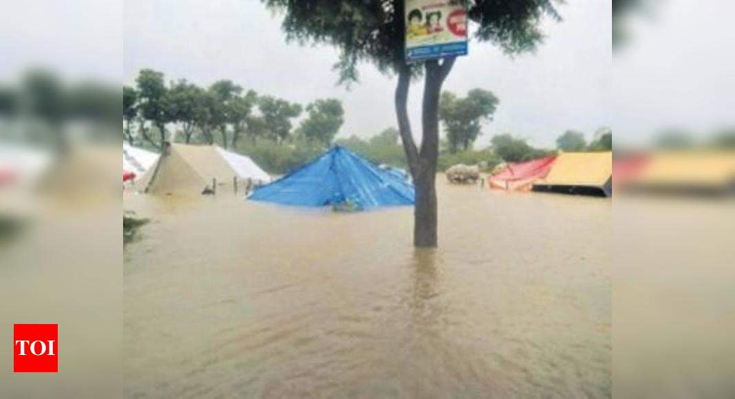 1,050 stranded people rescued in the flood hit districts of Rajasthan ...