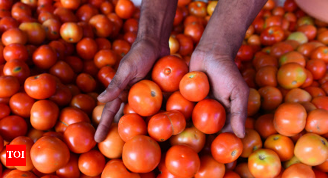 Tomato prices rise up to 9fold in 17 major cities India News Times of India