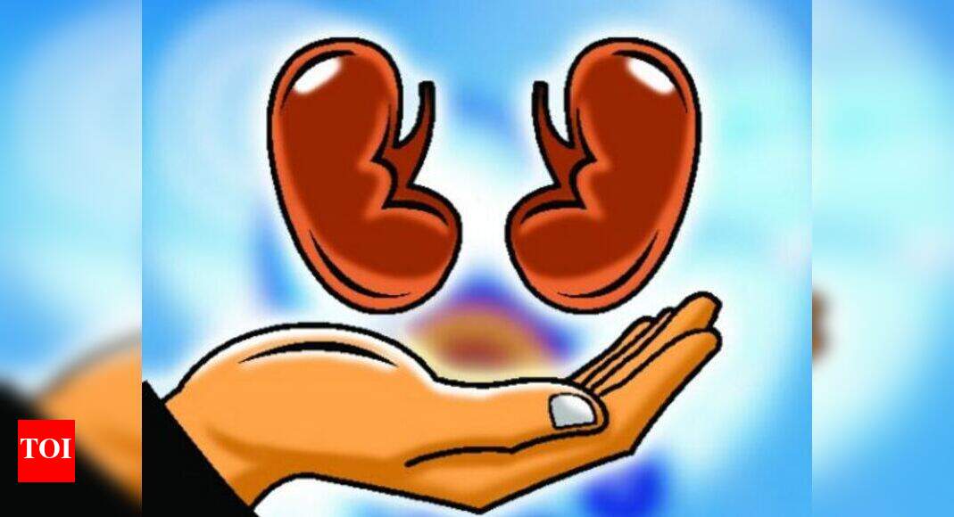 Kidney Transplant Doctors Campaign For Transplant Of Organs That Are Not A Match Chennai News Times Of India
