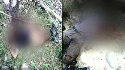 Two terrorists killed in J&K's Pulwama