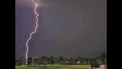 Lightning claims 30 lives within 24 hours in Odisha