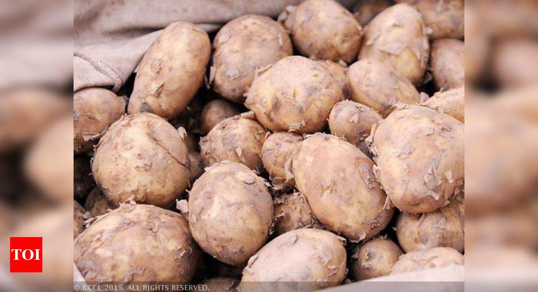 Farmers And Potato: Struggling With Low Prices, Demand, Farmers To Sell ...