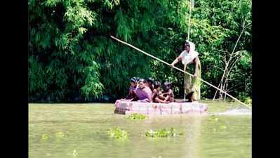 'Permanent solution to floods in Assam not feasible'