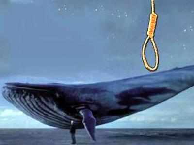 The reality behind the theory of killer game ‘Blue Whale’