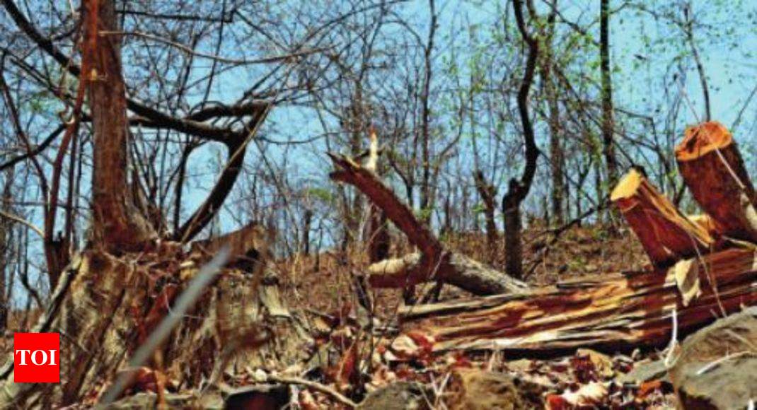 Tansa sanctuary: Tansa wildlife sanctuary falls prey to quarrying ...