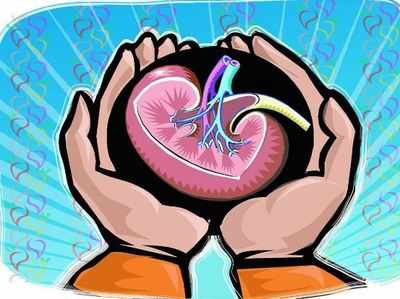 kidney transplant perform rises incompatible hope after representative doctors