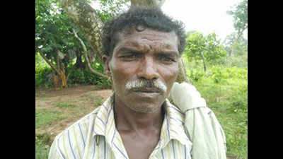 Tribal gets land rights after 2 years of living in a tree