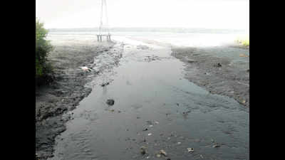Idle barges continue to pollute Zuari