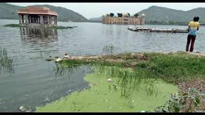 Polluted Mansagar lake now becomes nightmare for locals