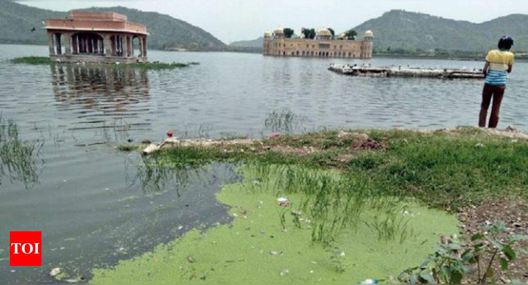 Polluted Mansagar lake now becomes nightmare for locals | Jaipur News