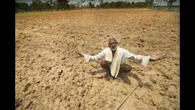 Make us part of Tamil Nadu: Drought-hit Karnataka farmers