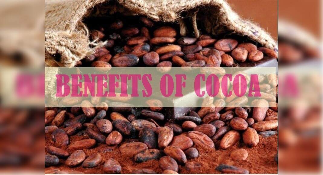 CHOCOLATE Impressive benefits of Cocoa we bet you didn’t know