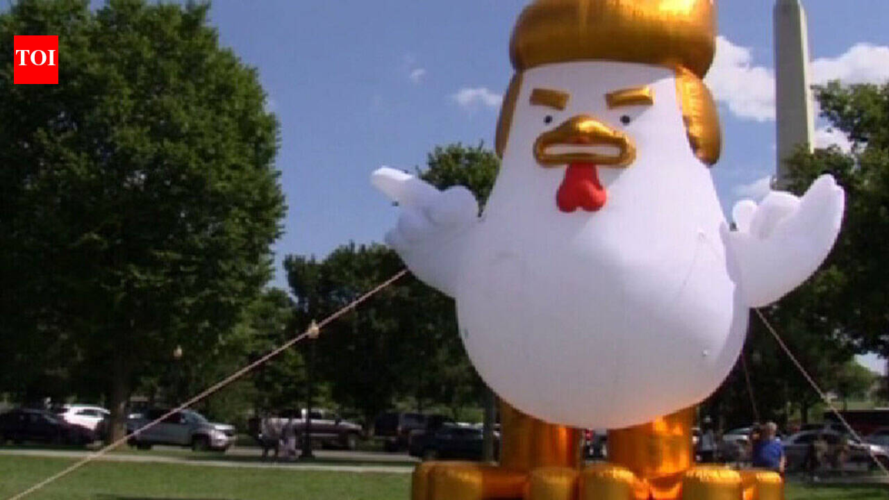 Inflatable chicken stares down the White House