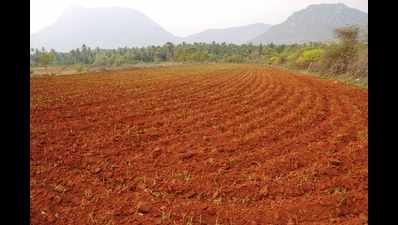 Plough or lease land, Karnataka tells farmers
